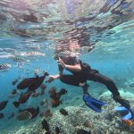 Snorkeling Snorkeling